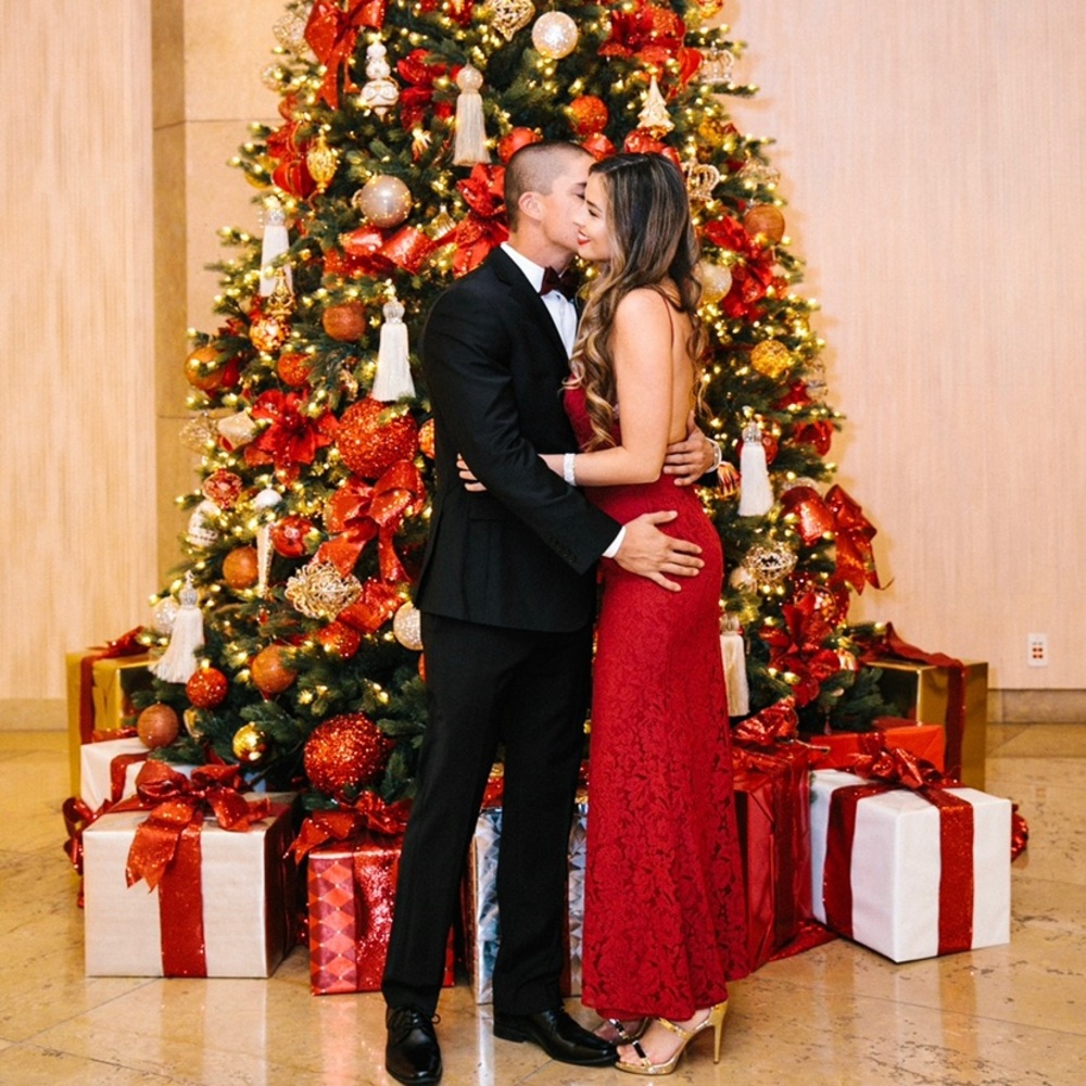 Fame & Partners Red Gown dress